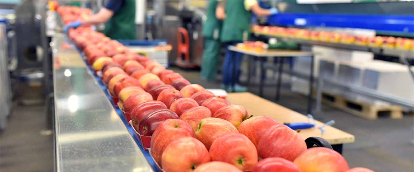 Secteur Agroalimentaire